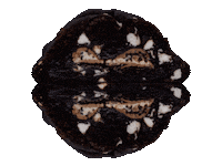 fatandweird cookie cookies fat and weird lets get fat and weird Sticker