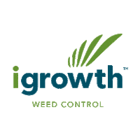 Sorgo Sorghum Sticker by Advanta Semillas Argentina