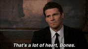 fox tv booth GIF by Bones