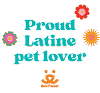 Mi Casa Pets Sticker by Best Friends Animal Society