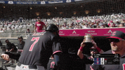 Jo Adell Sport GIF by MLB