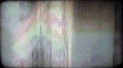 fearless GIF by Taylor Swift