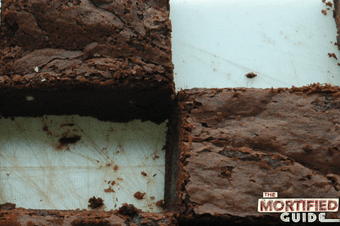 hungry who done it GIF by mortifiied