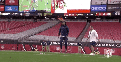 2018 Nfl Football GIF by NFL
