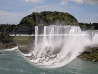 Enjoy Lol GIF by FranchiseONE.de