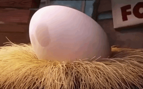 egg hatchlings GIF by Angry Birds