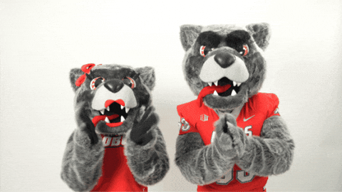 New Mexico Mascots GIF by UNM