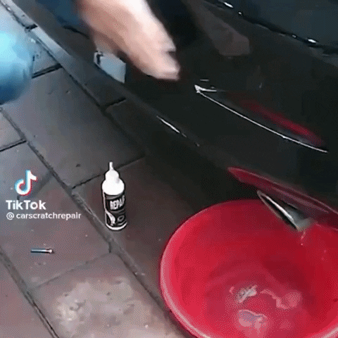 nenadmirkajlovic giphyupload GIF