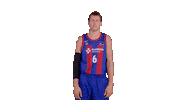 Liga Endesa Basketball Sticker by ACB