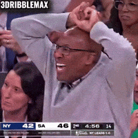Spurs Knicks GIF