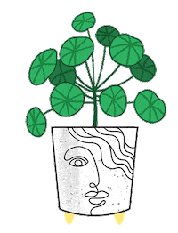 Face Drawing Sticker