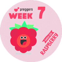 Baby Pregnancy Sticker by Preggers