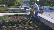 VTFacilities vt facilities cpif GIF