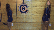 cnvb 2018cnvb GIF by Carson-Newman Athletics