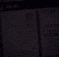 Trump Vote GIF