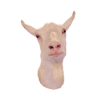 Goat Fries Sticker by Omrop Fryslân