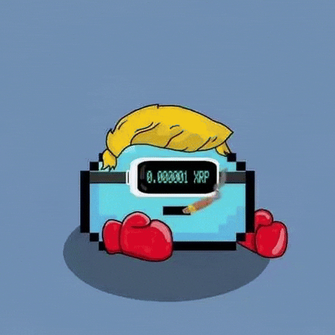 Memecoin Xrp GIF by $DROP
