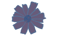 anniejaeel flower anniejaeel Sticker