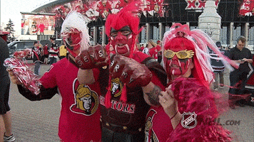 ice hockey nhl fans GIF by NHL