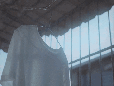 topshelfrecords giphyupload blue flower guitar GIF