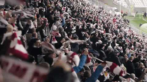 Fans Supporters GIF by LKS Lodz