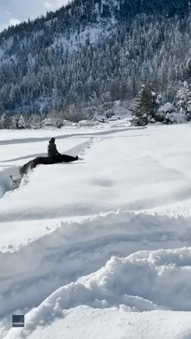 Woman Rides Horse Bareback Through Deep Snow