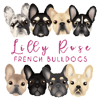 Lilly Rose Bulldogs Sticker by zoopeez
