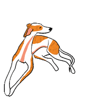 dog Sticker by elgalgoazul
