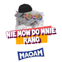 Cat Fun Sticker by MAOAM