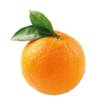 appelsientjenl orange sinaasappel appelsientje appelsientje sinaasappel Sticker