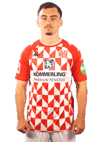 Bundesliga Celebrating Sticker by 1. FSV Mainz 05