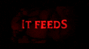 Movie Title Horror Movies GIF by Signature Entertainment