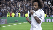 champions league sport GIF by Real Madrid