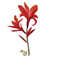 Flower Weed Sticker by There are stories longing to be told...