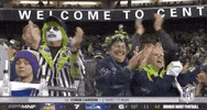 Regular Season Football GIF by NFL