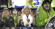 Regular Season Football GIF by NFL