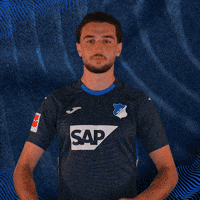 Sport Bundesliga GIF by TSG Hoffenheim