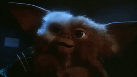 Christmas Movies Gremlins GIF by filmeditor