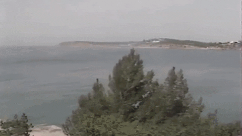 denisromantsov giphyupload GIF