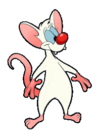 Pinky And The Brain Sticker