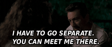 I Have To Go Separateyou Can Meet Me There GIF