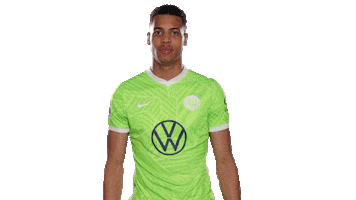 Oh No Football Sticker by VfL Wolfsburg