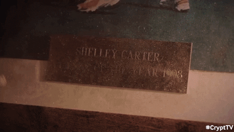 Crypttv Shelley GIF by Crypt TV