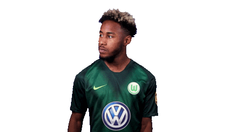 Football Soccer Sticker by VfL Wolfsburg