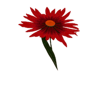 Fashion Flower Sticker by REDValentino