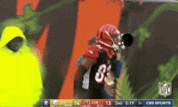 2018 Nfl Football GIF by NFL