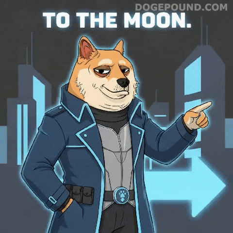 Lets Go Crypto GIF by Doge Pound