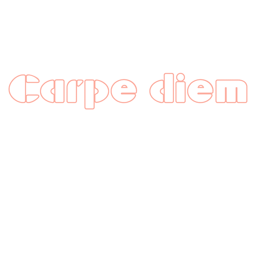 chasingcarpediem giphyupload travel holiday airplane Sticker