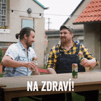 Starobrno_cz beer pivo Brno morava GIF