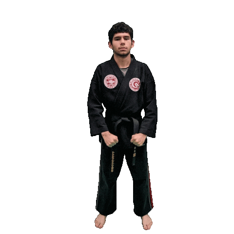 Karate Taekwondo Sticker by Team GMA